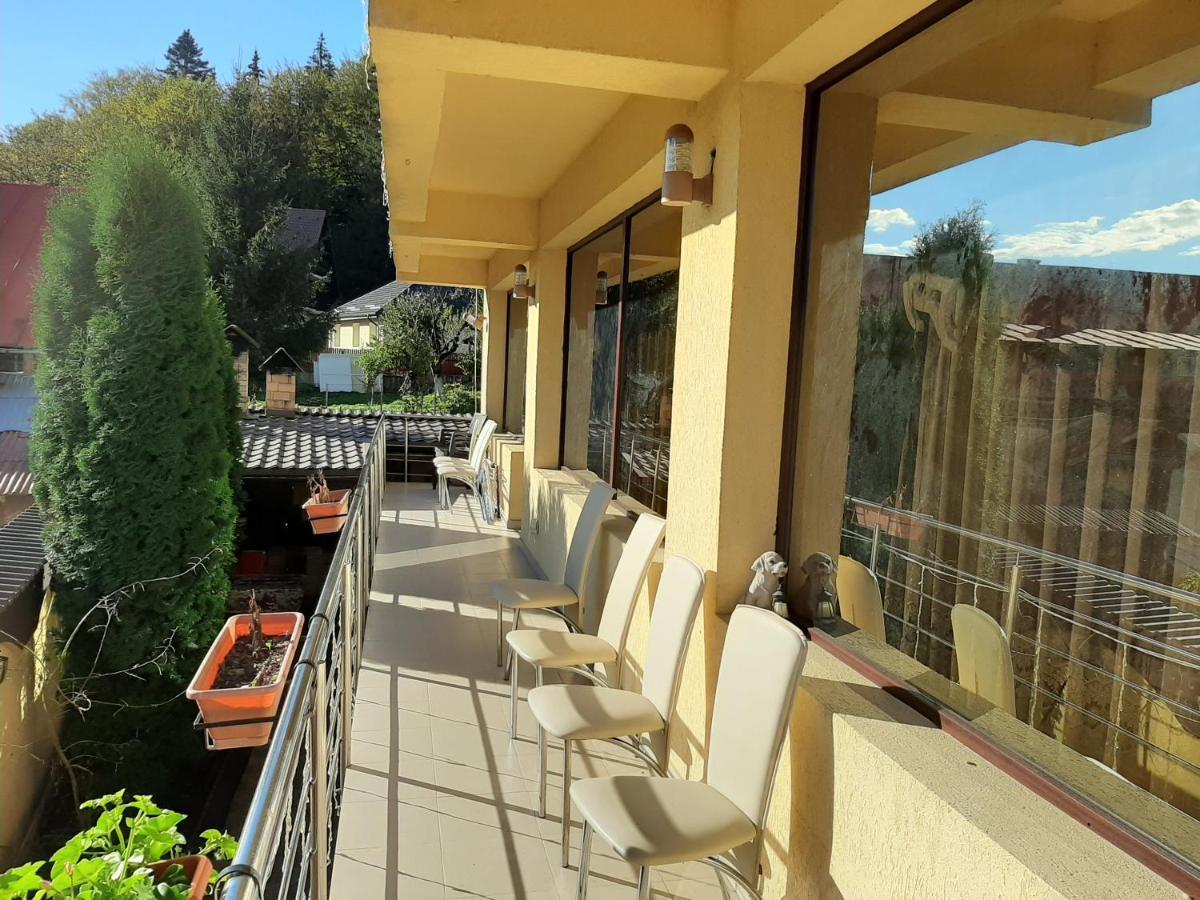 Hotel Vila Dolly Buşteni Exteriér fotografie