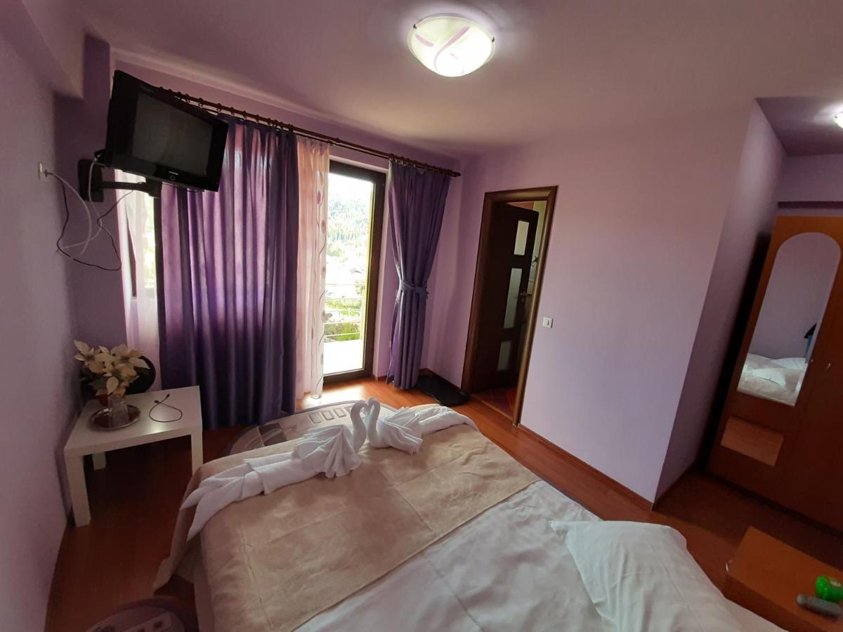 Hotel Vila Dolly Buşteni Exteriér fotografie